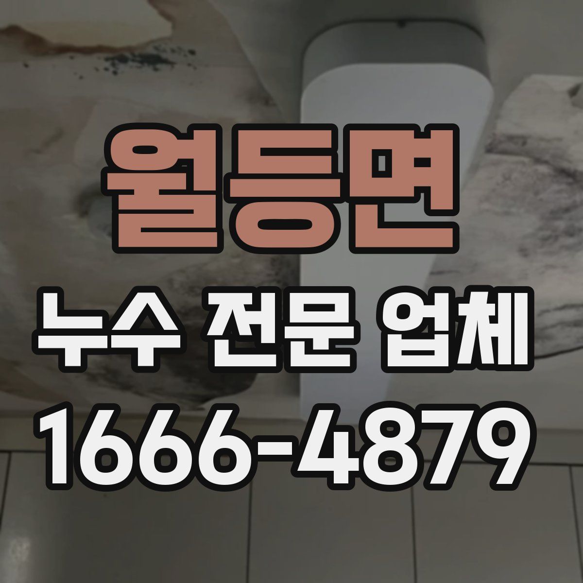 월등면 누수 전문 업체