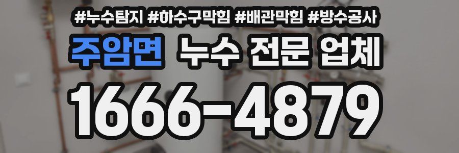 주암면 누수 전문 업체
