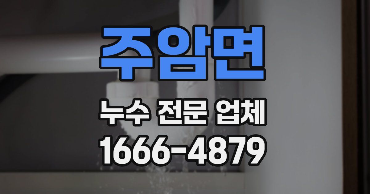 주암면 누수 전문 업체