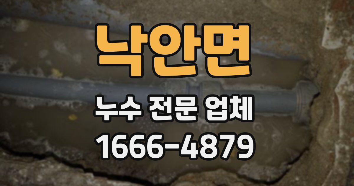낙안면 누수 전문 업체