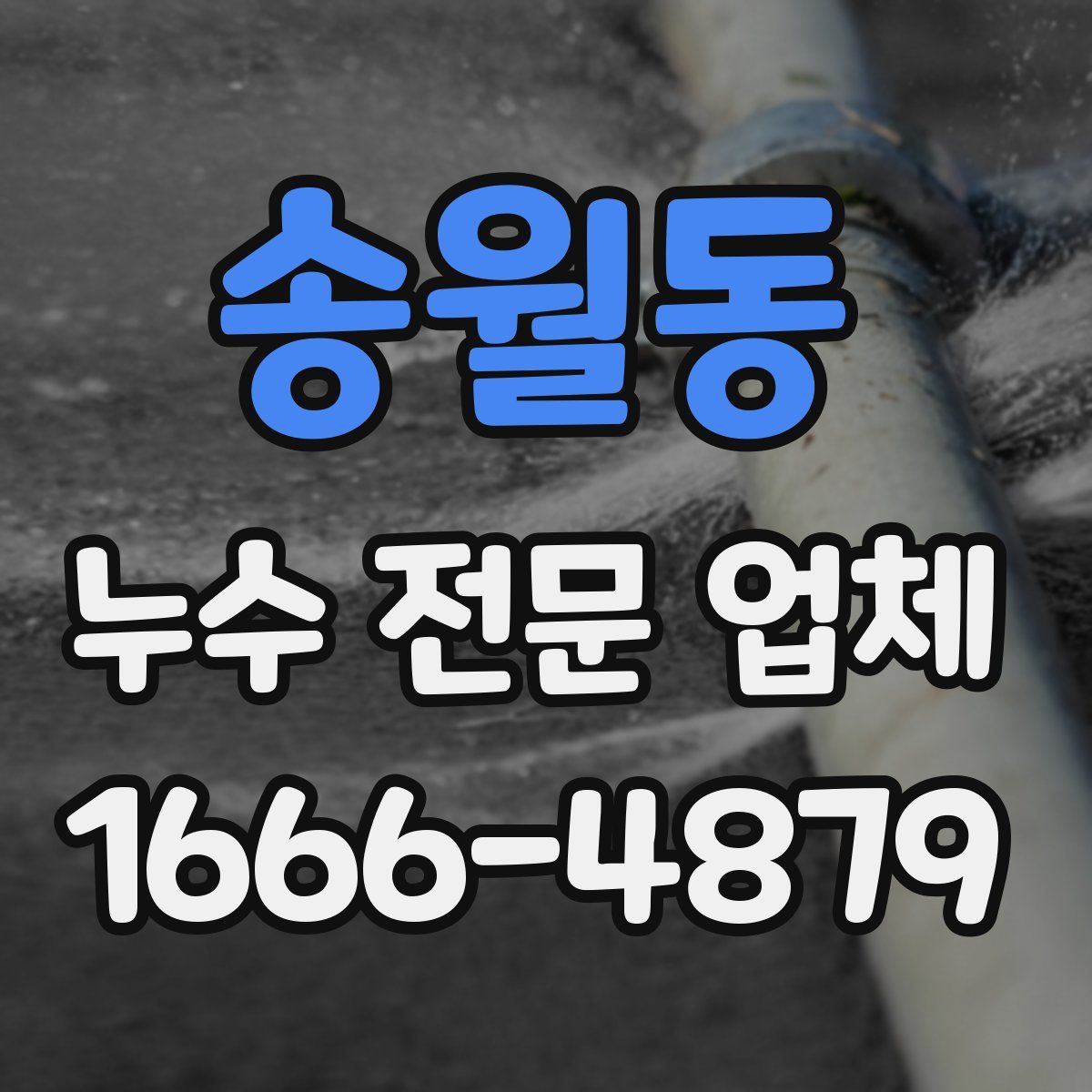 송월동 누수 전문 업체