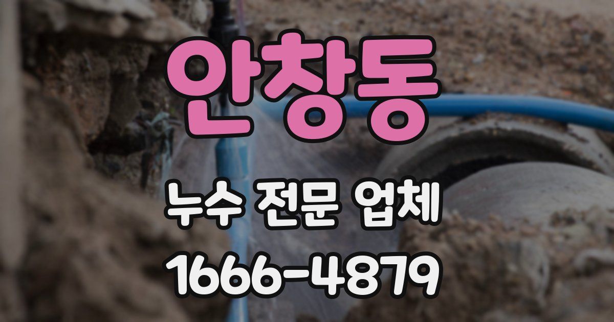 안창동 누수 전문 업체