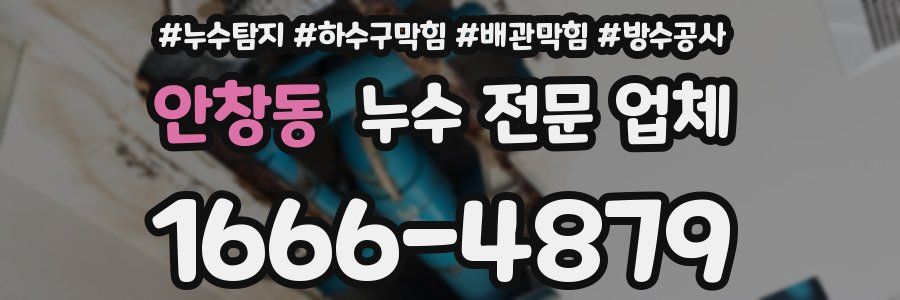 안창동 누수 전문 업체