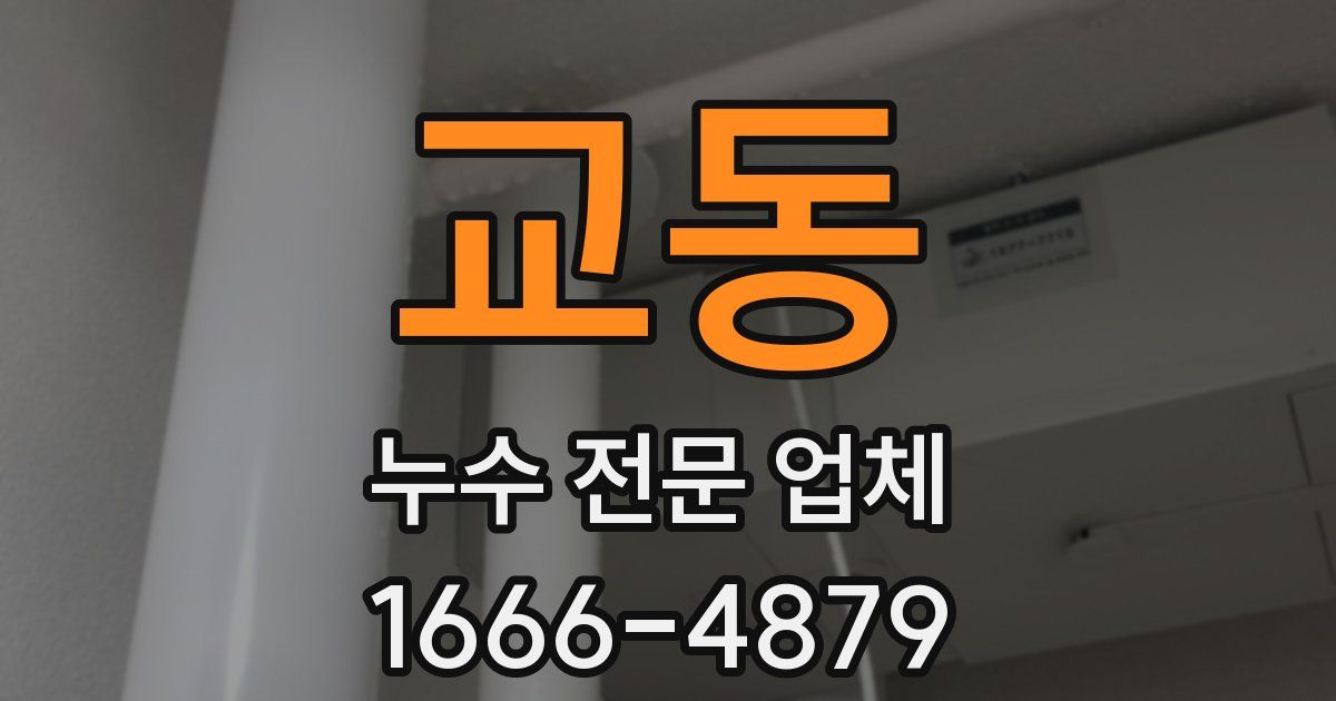 교동 누수 전문 업체
