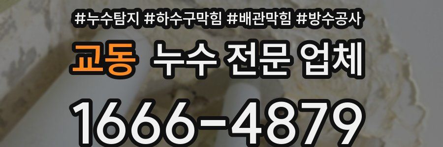 교동 누수 전문 업체