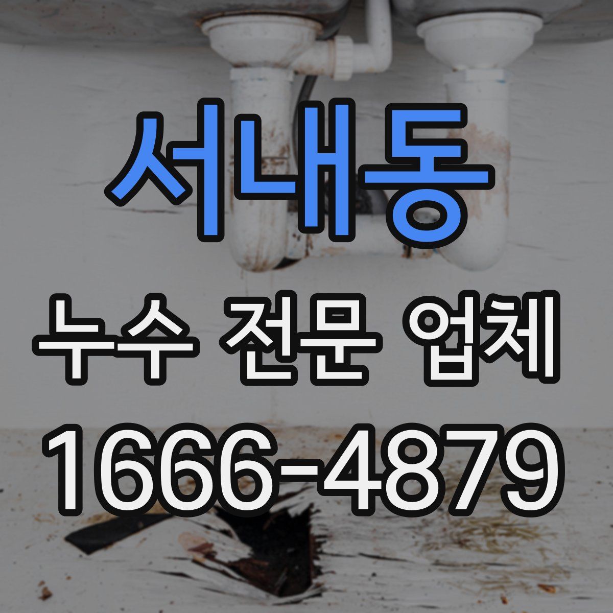 서내동 누수 전문 업체