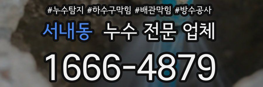 서내동 누수 전문 업체