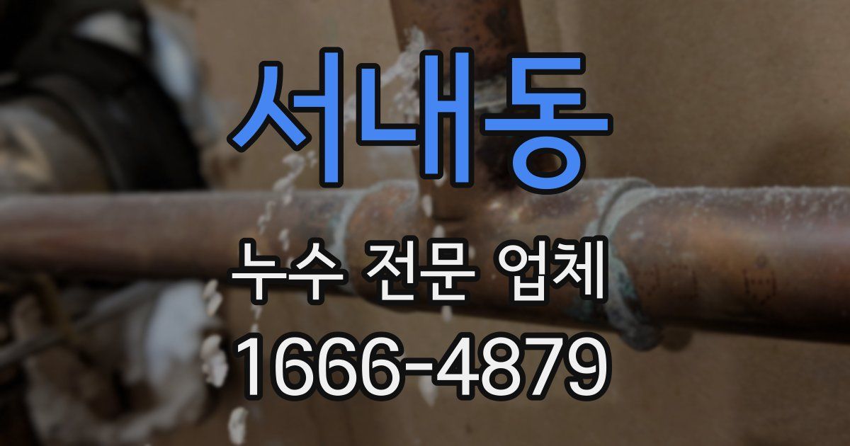 서내동 누수 전문 업체