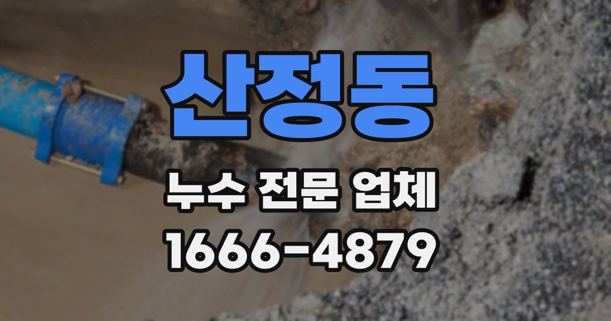 산정동 누수 전문 업체