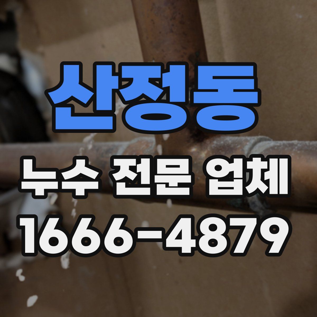 산정동 누수 전문 업체