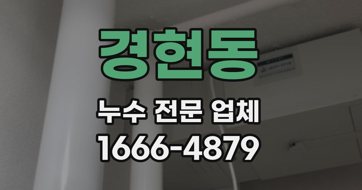 경현동 누수 전문 업체