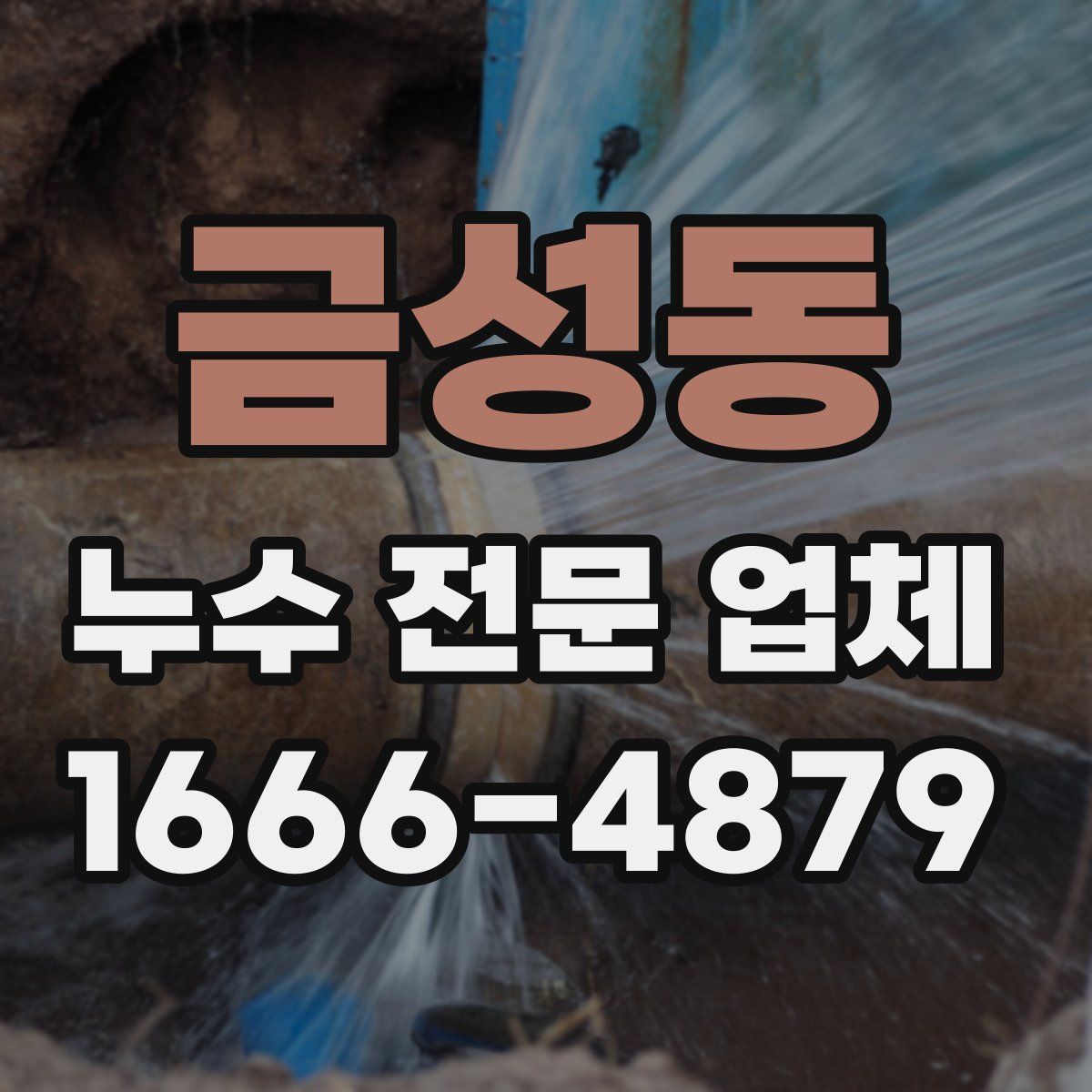 금성동 누수 전문 업체