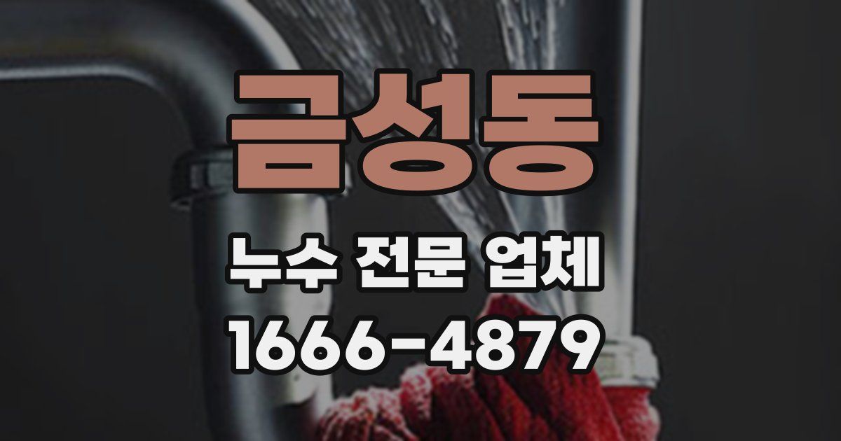 금성동 누수 전문 업체