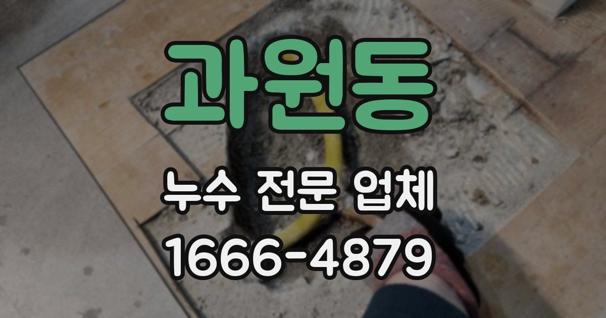 과원동 누수 전문 업체
