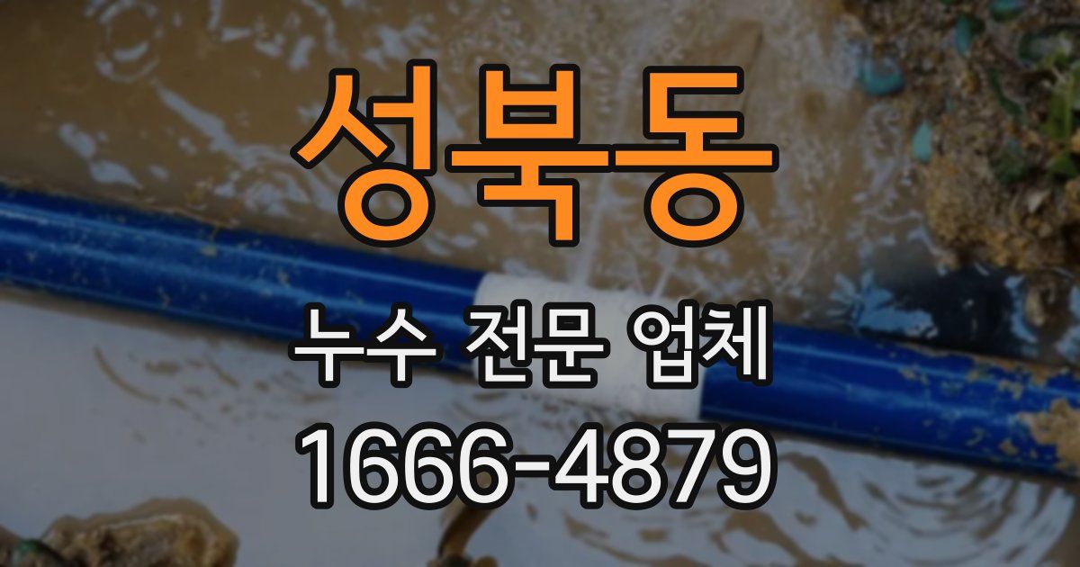 성북동 누수 전문 업체