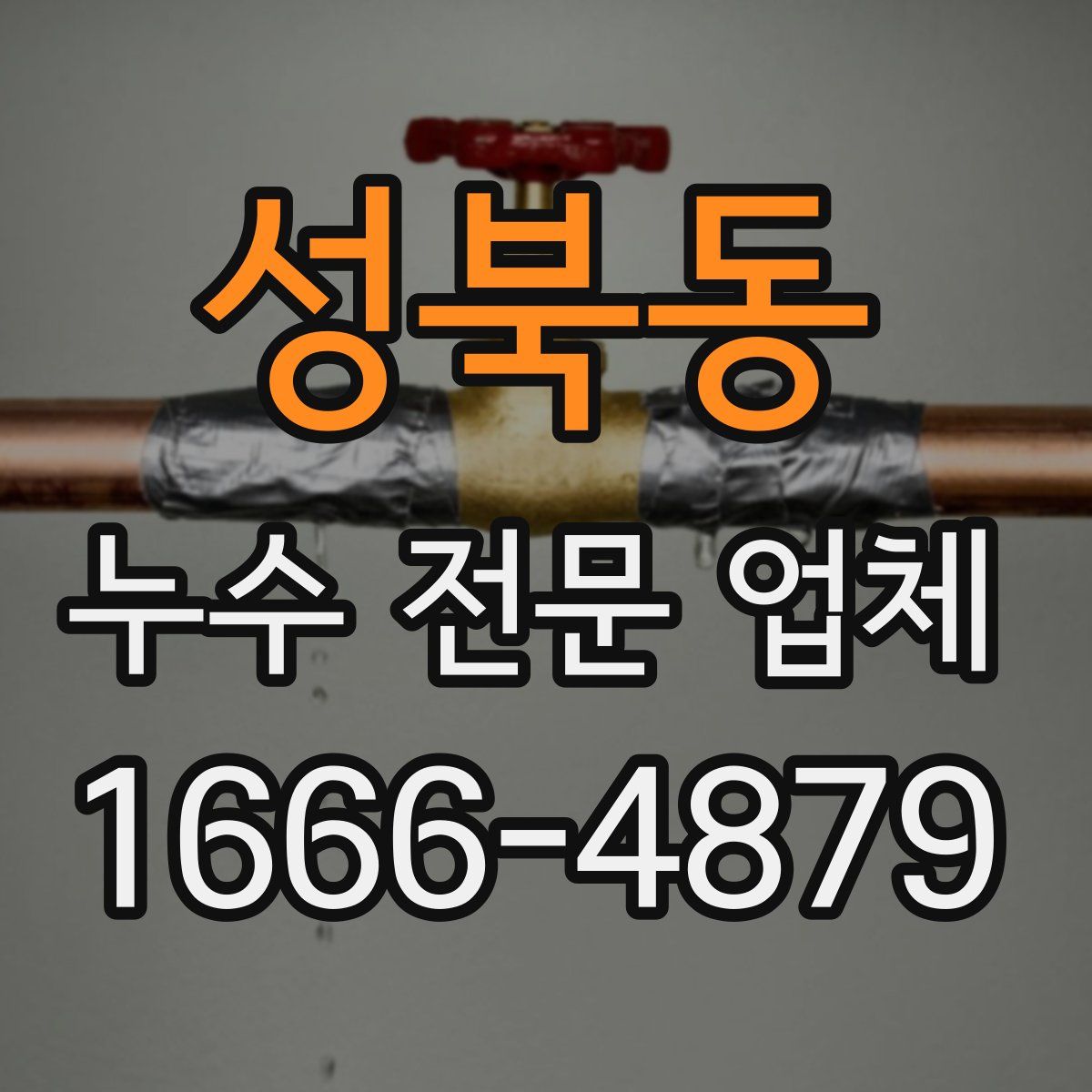 성북동 누수 전문 업체