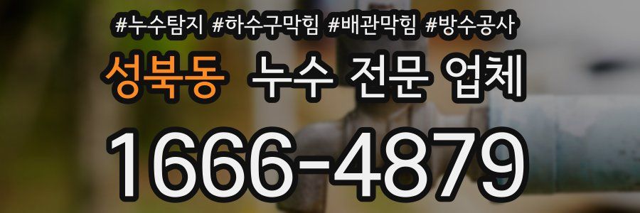 성북동 누수 전문 업체