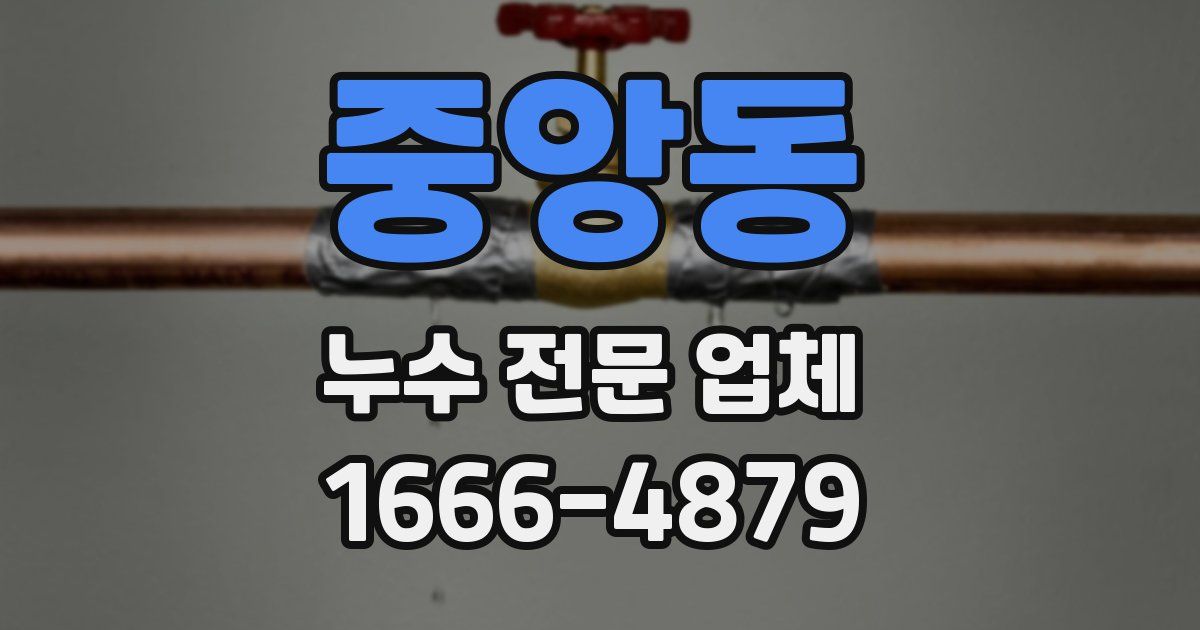 중앙동 누수 전문 업체