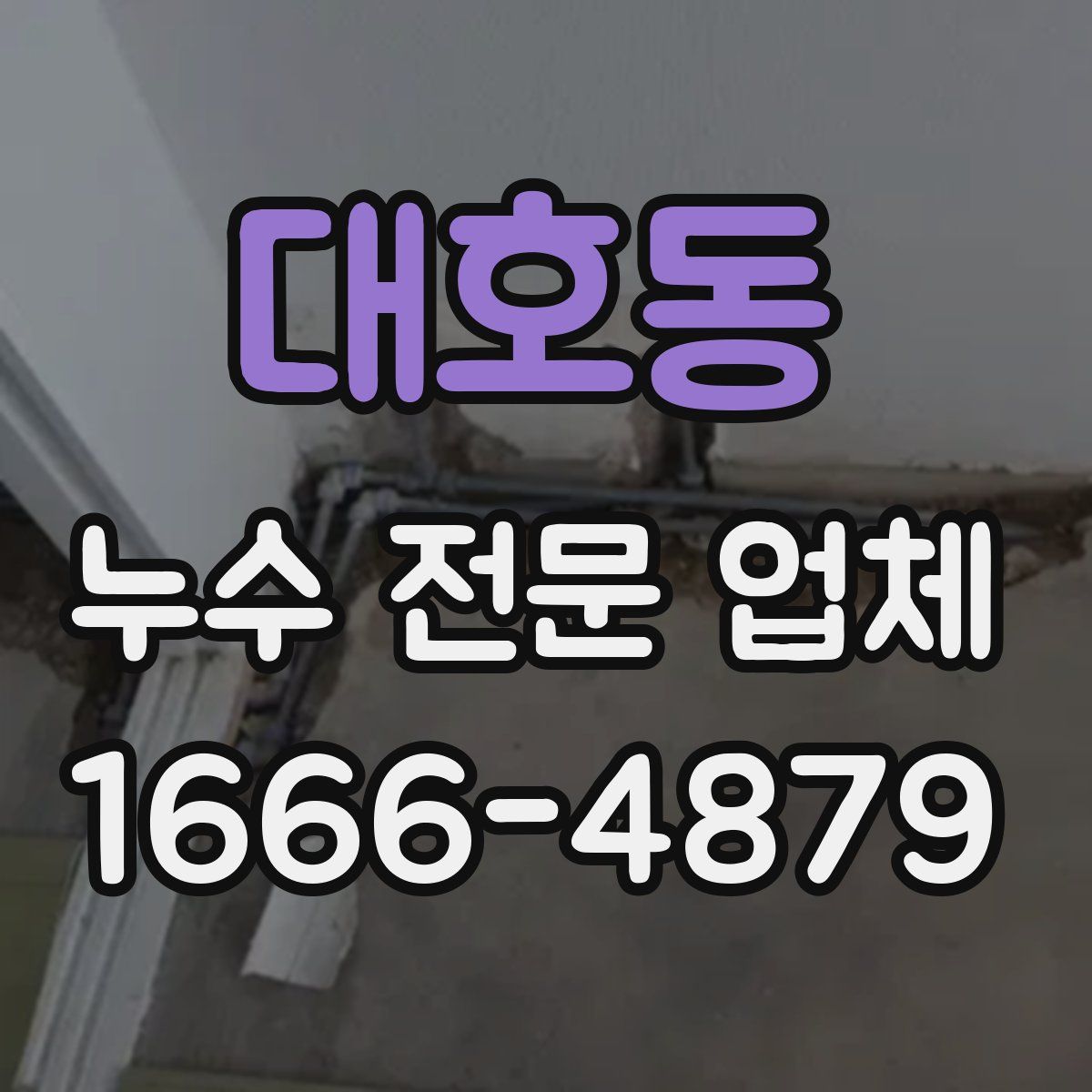 대호동 누수 전문 업체