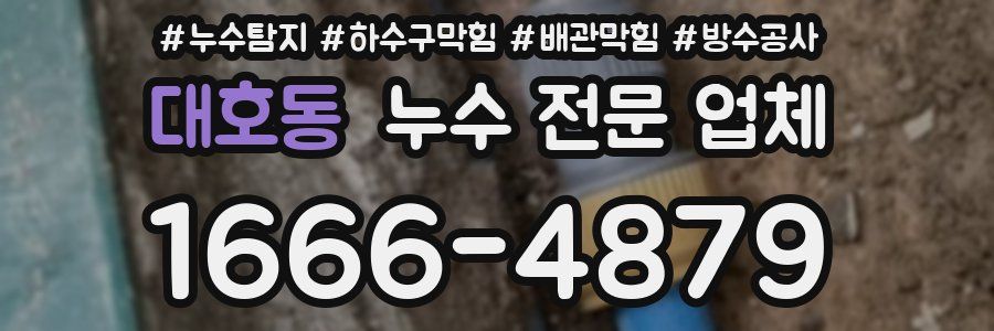대호동 누수 전문 업체