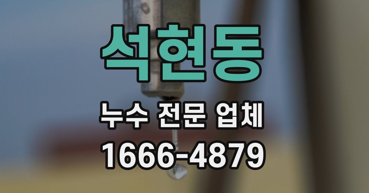 석현동 누수 전문 업체