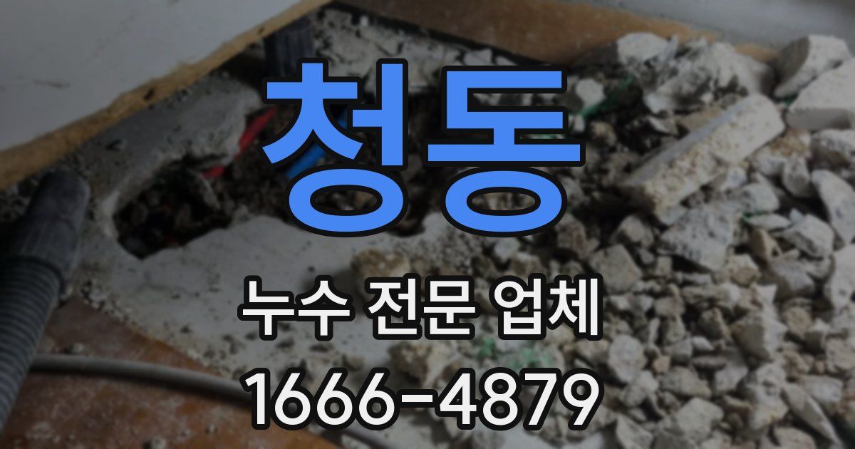 청동 누수 전문 업체