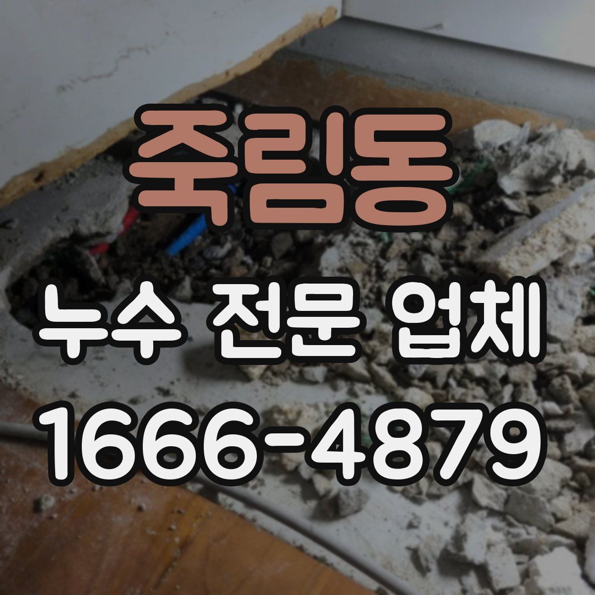 죽림동 누수 전문 업체