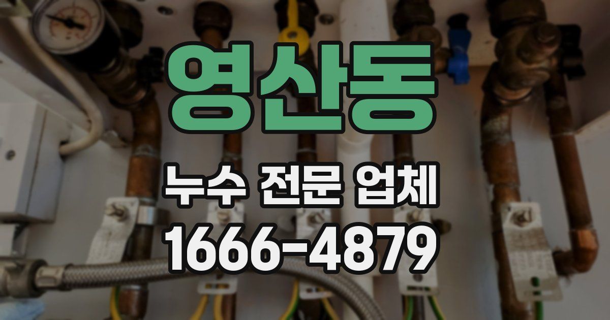 영산동 누수 전문 업체
