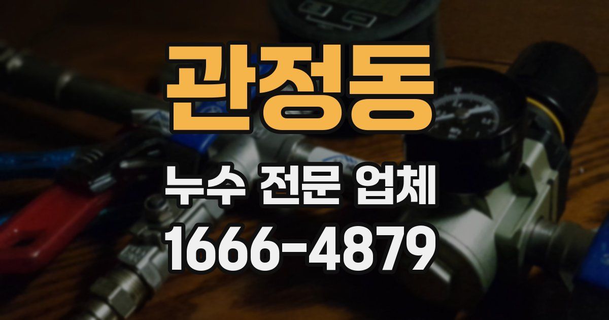 관정동 누수 전문 업체