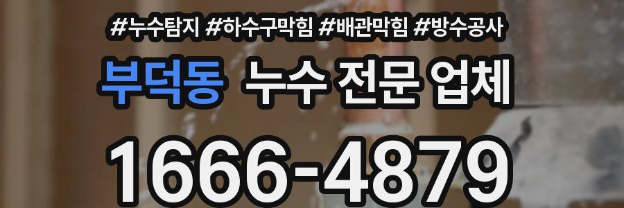 부덕동 누수 전문 업체