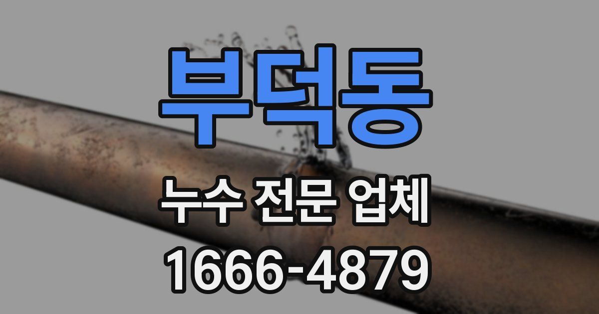 부덕동 누수 전문 업체