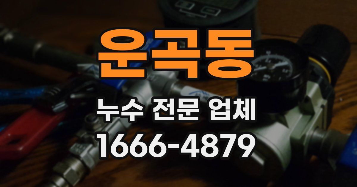 운곡동 누수 전문 업체