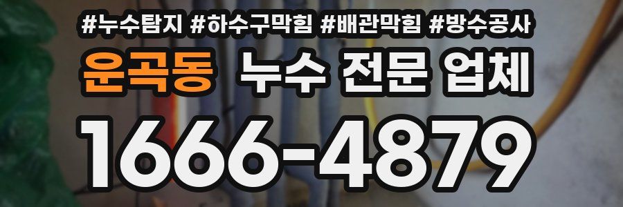 운곡동 누수 전문 업체