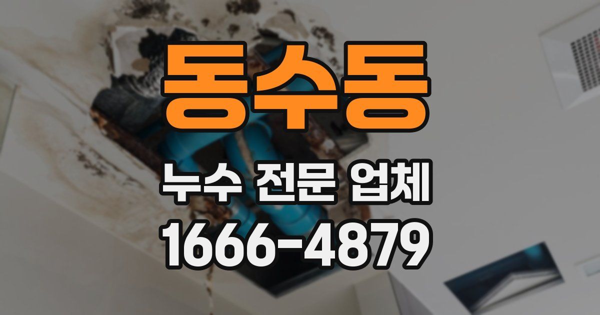 동수동 누수 전문 업체
