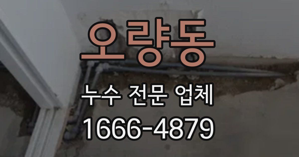 오량동 누수 전문 업체