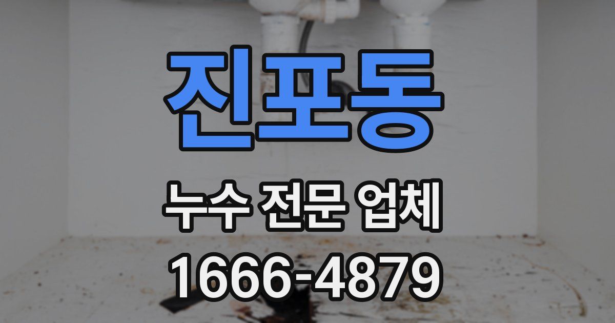 진포동 누수 전문 업체