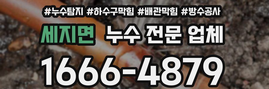 세지면 누수 전문 업체