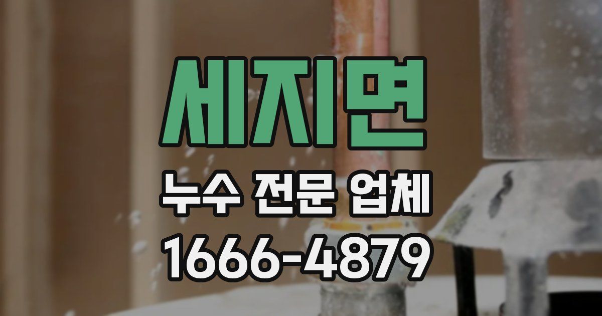 세지면 누수 전문 업체