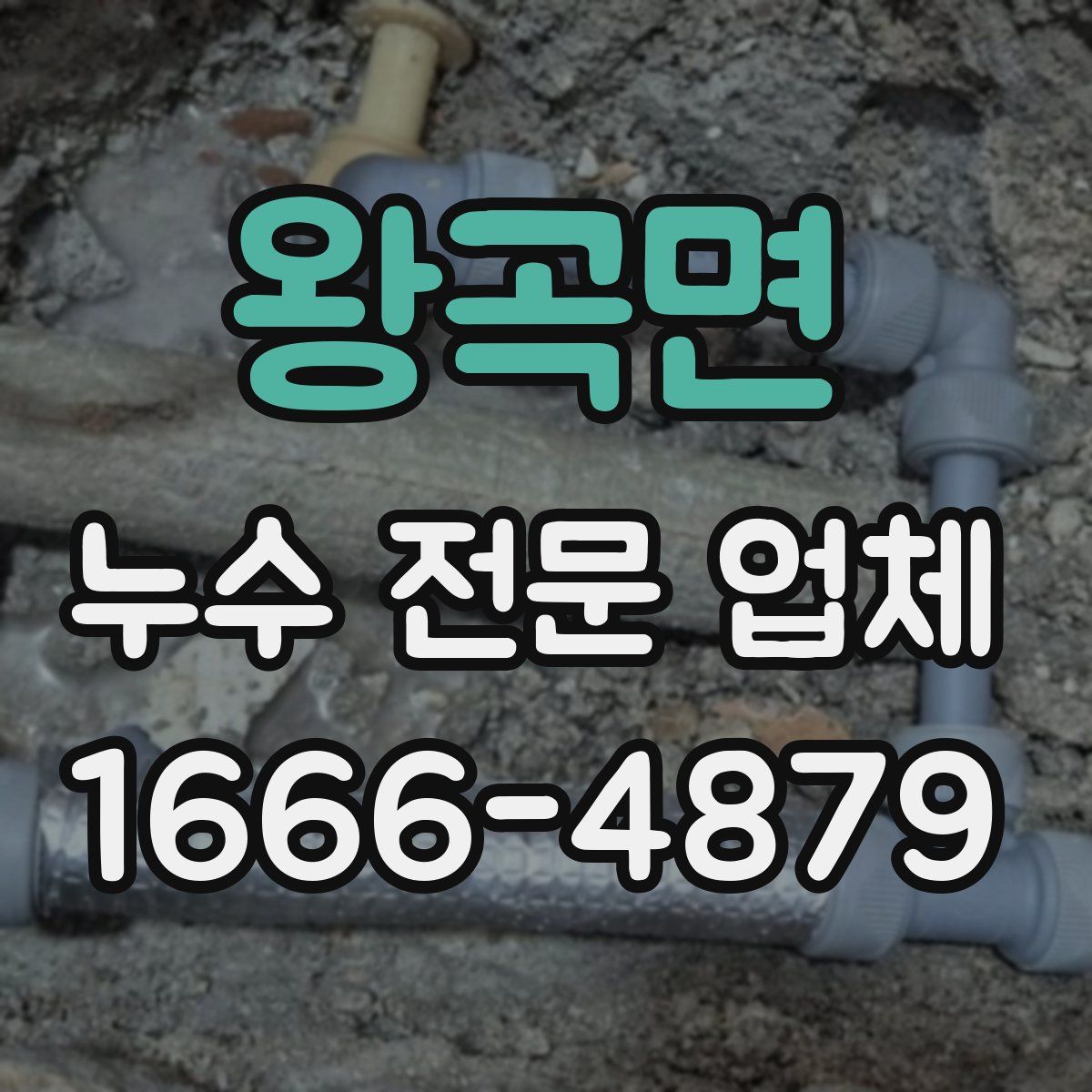 왕곡면 누수 전문 업체