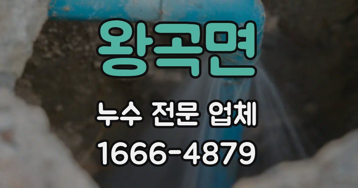 왕곡면 누수 전문 업체
