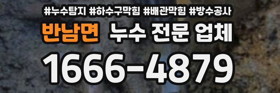 반남면 누수 전문 업체