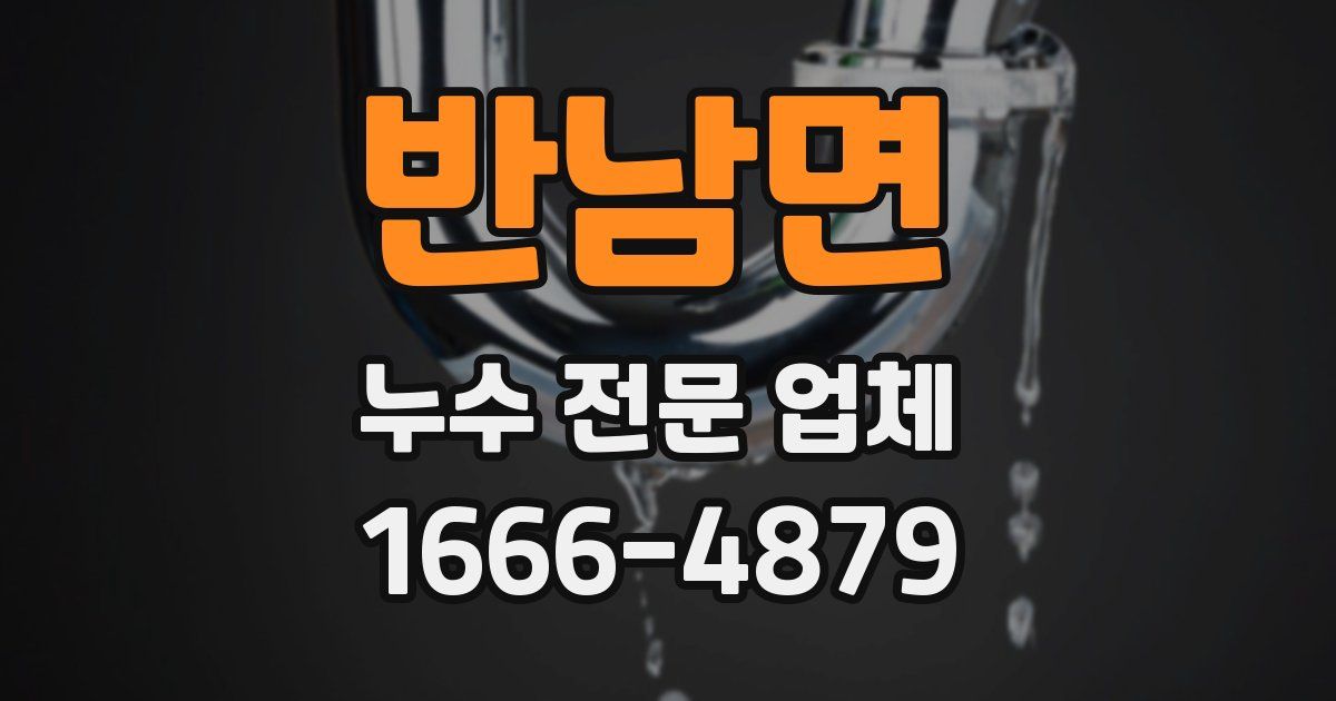반남면 누수 전문 업체