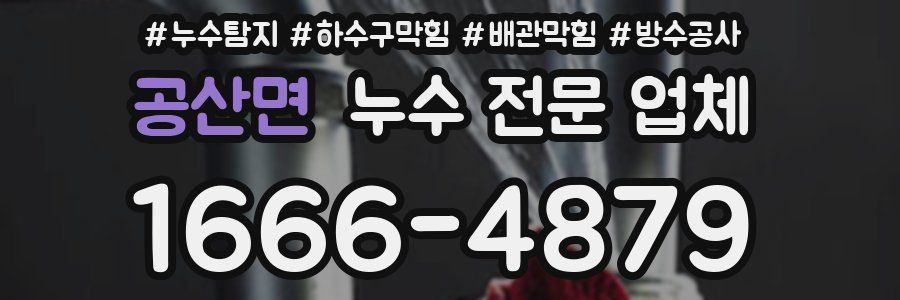 공산면 누수 전문 업체