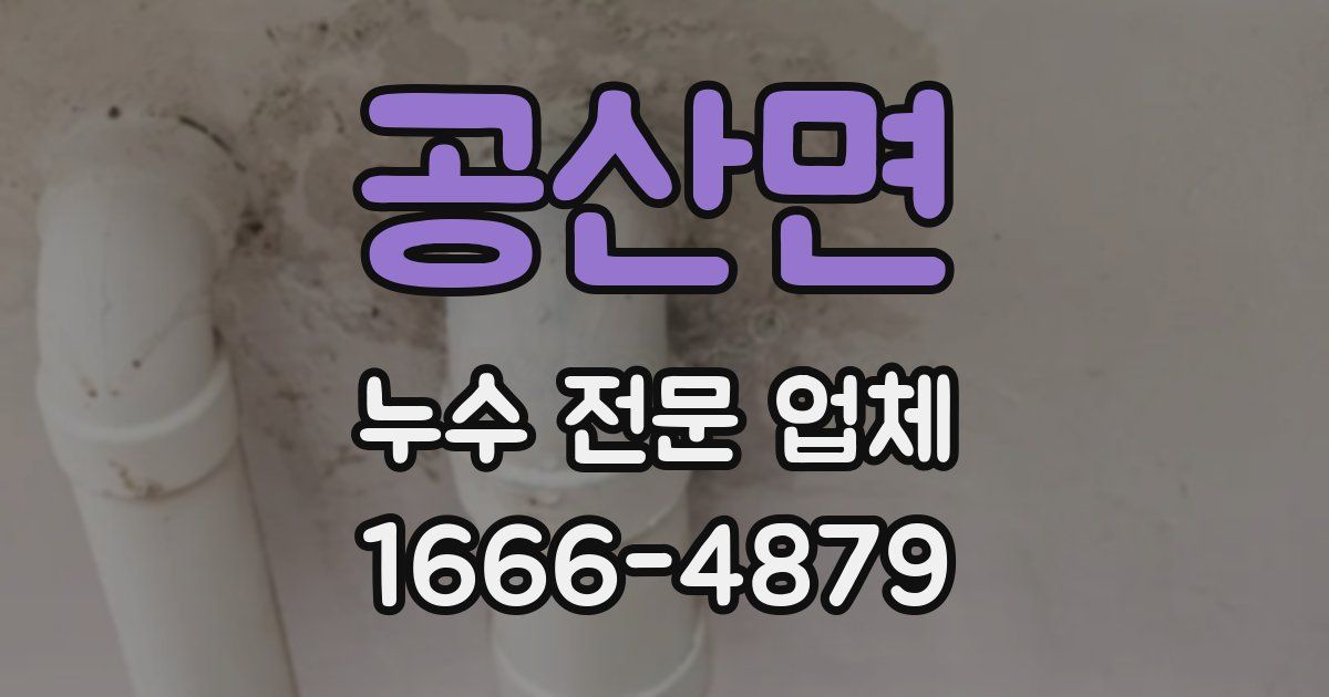 공산면 누수 전문 업체