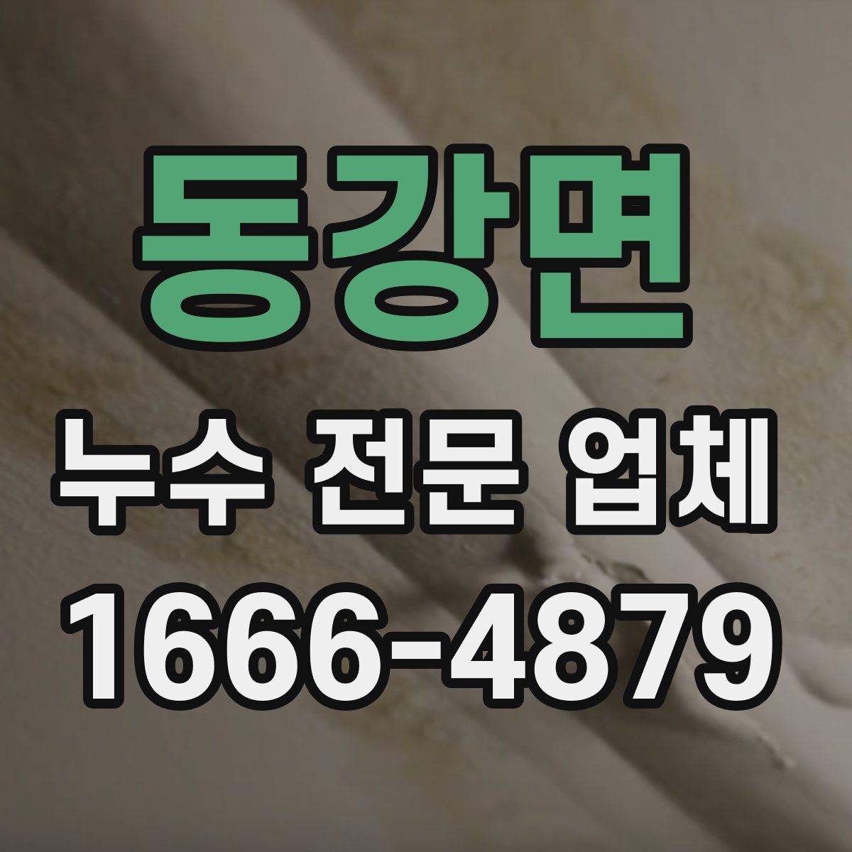 동강면 누수 전문 업체
