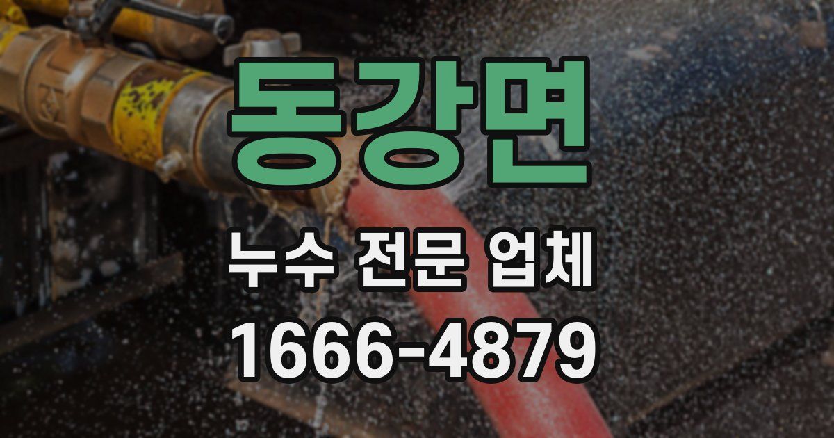 동강면 누수 전문 업체