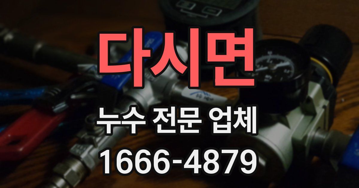 다시면 누수 전문 업체