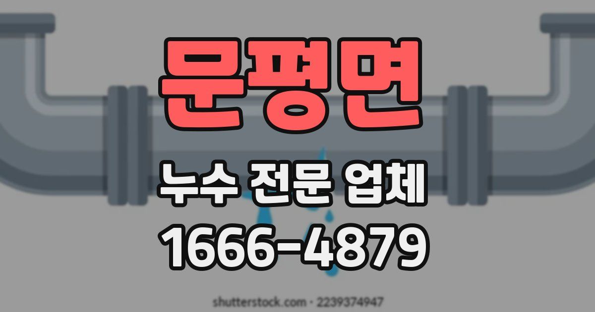 문평면 누수 전문 업체