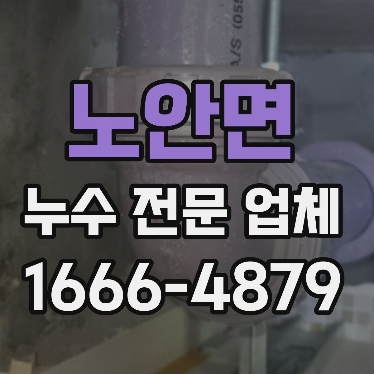 노안면 누수 전문 업체