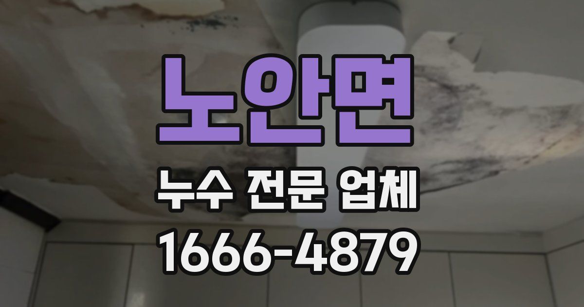 노안면 누수 전문 업체